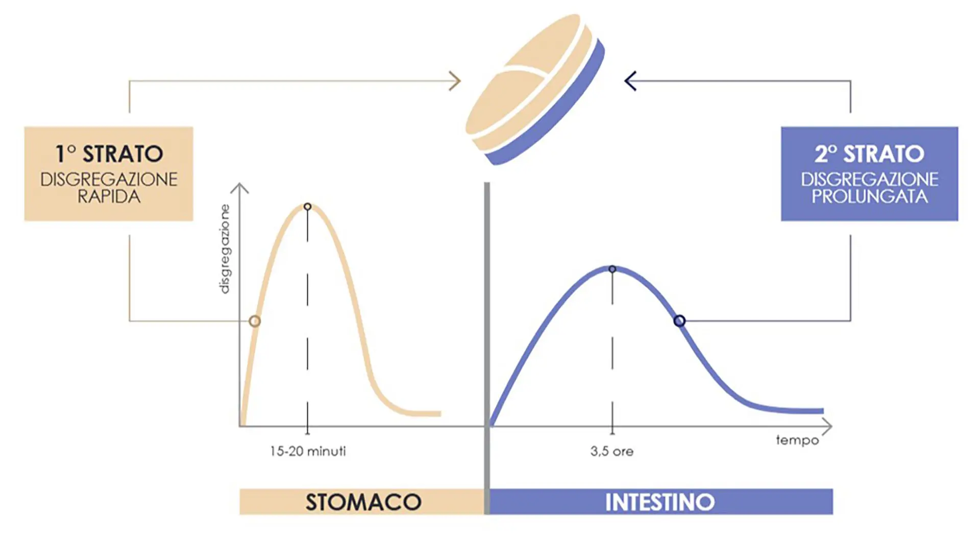 2025 Nuovo brevetto - urotab fast rm