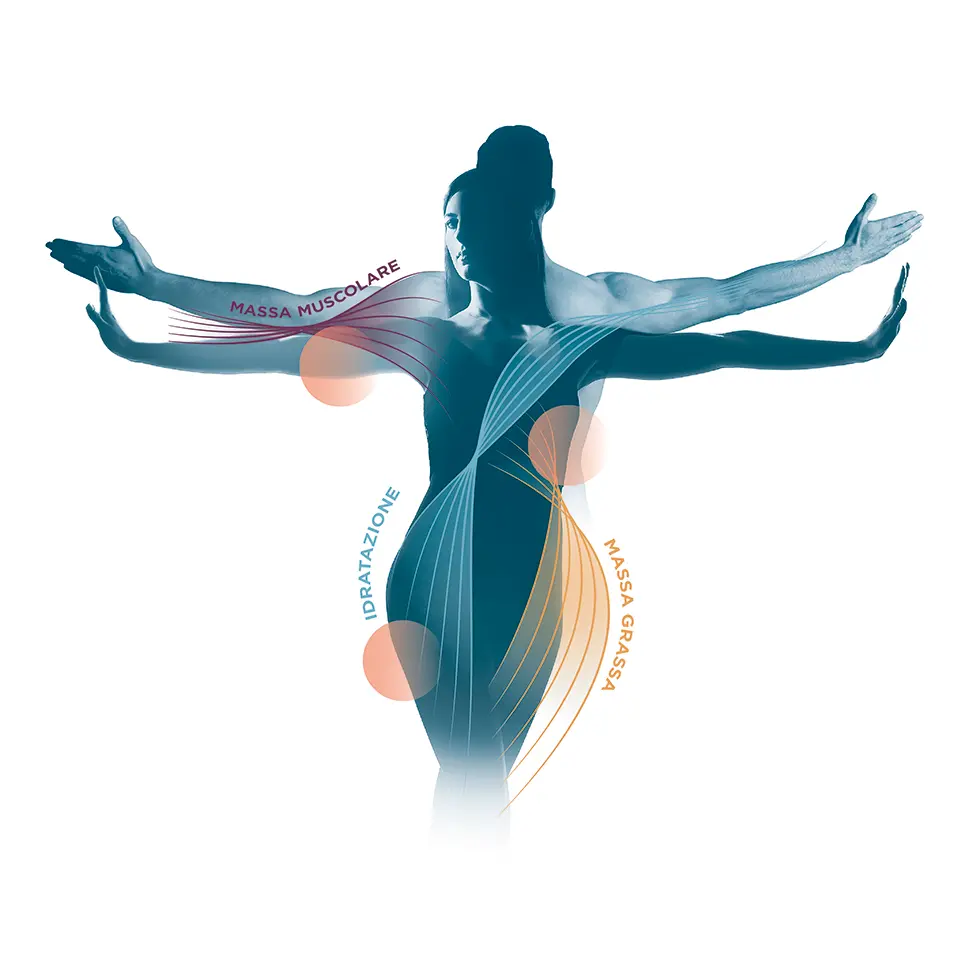BODYPLAN