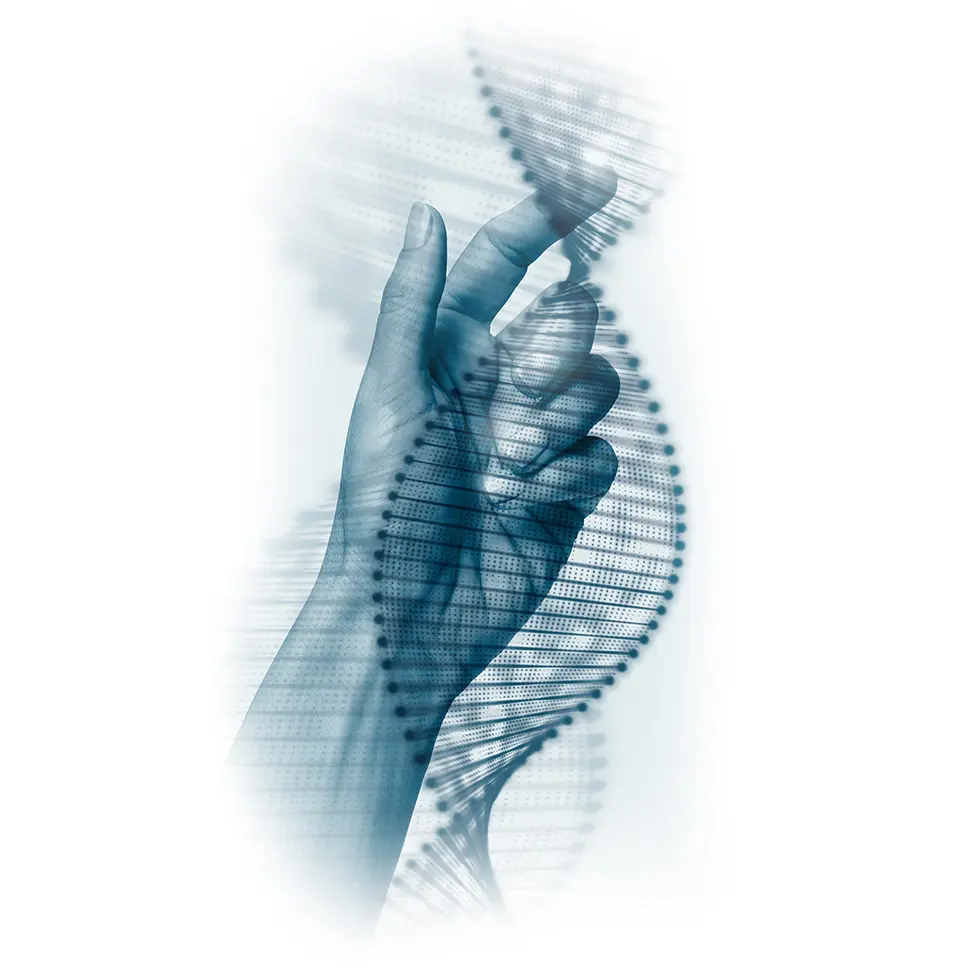 BIOMAPLAN